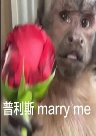 做完肠疗能做肠镜检查吗